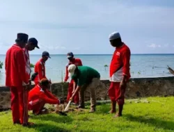 Jaga Alam, Pemdes Galis Tanam Bibit Pohon Cemara Udang