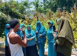 TP-PKK Giligenting Kunjungi Lokasi Penanaman Porang