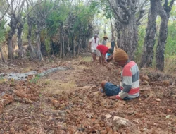 Kelompok Nelayan Pantai Berru Mandiri, Terus Berupaya Bangun Jalan Secara Swadaya