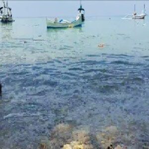 Gelombang Laut Tinggi, Harga Ikan di Giligenting Melonjak