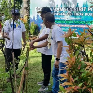 Peringati Hari Lingkungan Hidup, DLH Sumenep Tanam Pohon
