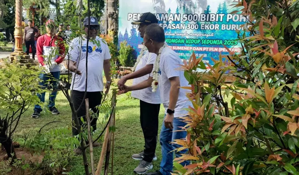 Kepala DLH Sumenep Arif Susanto bersama Bupati Sumenep dan Direktur PLN saat menanam pohon