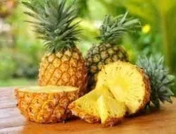 Khasiat dan Manfaat Nanas untuk Obat Kolesterol Secara Alami