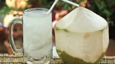 Manfaat Air Kelapa bagi Kesehatan