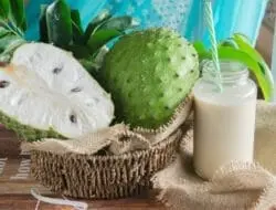 Manfaat Buah Sirsak Untuk Kesehatan