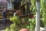 Babinsa Koramil 0827/04, Seda Joko turut bersihkan ranting pohon depan PKM Bluto