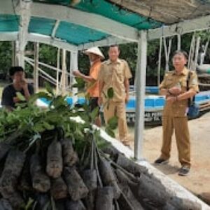 Dinas Kehutanan Provinsi Jatim Melalui FK3I Kirim Bibit Mangrove ke Pulau Giligenting