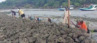 Antusias Masyarakat Dusun Julung Laok dalam Rangka Penanaman Bibit Mangrove di Pesisir Pantai Berru