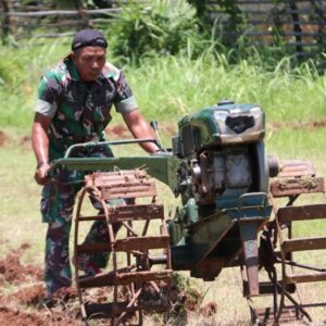 Manfaatkan Lahan Tidur, Babinsa Koramil Giligenting Sulap Menjadi Lahan Pertanian