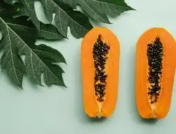 Manfaat Buah Pepaya bagi Kesehatan Ginjal