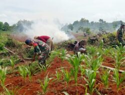 Babinsa Koramil Kalianget Dampingi Warga Agar Tetap Semangat Tanam Jagung