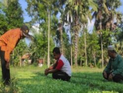 DKPP Sumenep Berikan Pendampingan bagi Petani Millenial