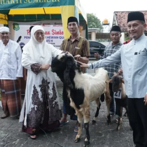 Pemkab Sumenep Melalui Dinsos P3K Serahkan Puluhan Hewan Kurban