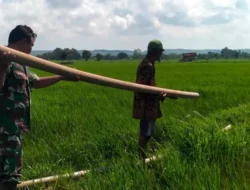 Pompanisasi Bantu Petani Desa Kalimo’ok, Sumenep, Tingkatkan Produktivitas di Musim Kemarau