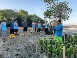 Inovasi Penanaman Mangrove dengan Metode SiTampan: Upaya IPB University dan Pokmaswas Reng Paseser