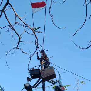 Kemeriahan HUT RI ke-79: Pemenang Lomba Panjat Pinang di Desa Galis Diiringi Lagu Indonesia Raya oleh Penonton