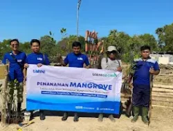 Labini Inisiatif Hijau: Penanaman Mangrove untuk Ekosistem Pesisir Berkelanjutan di Sumenep