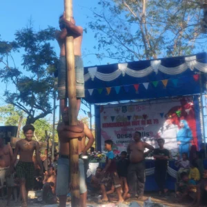 Lomba Panjat Pinang Semarakkan HUT RI ke-79 di Desa Galis