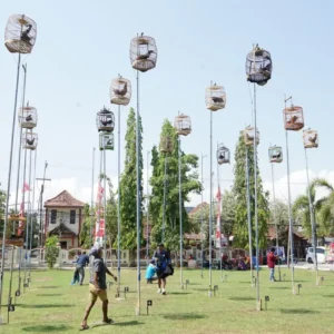 Pemkab Sumenep Gelar Lomba Seni Suara Ayam Bekisar Bupati Cup 2024, Wujud Pelestarian Fauna Lokal