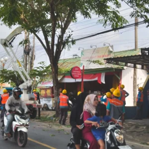 PLN Sampang Pangkas Pohon Demi Keamanan dan Pasokan Listrik