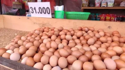 Harga Telur di Sumenep Masih Bertahan Awal Tahun 2025