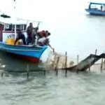 TNI AL dan Warga Bongkar Pagar Laut di Tanjung Pasir atas Arahan Presiden Prabowo