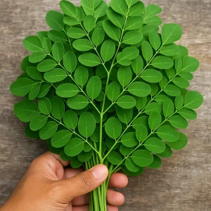 Manfaat Daun Kelor untuk Kesehatan: Cegah Diabetes hingga Tingkatkan ASI