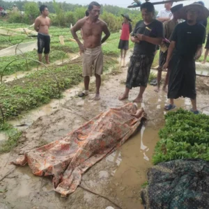 Petani Tersambar Petir di Sampang Saat Hujan Deras, Meninggal di Tempat