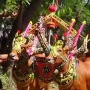 Jadwal Event Agustus 2025 di Sumenep: Festival Budaya Madura yang Wajib Dikunjungi