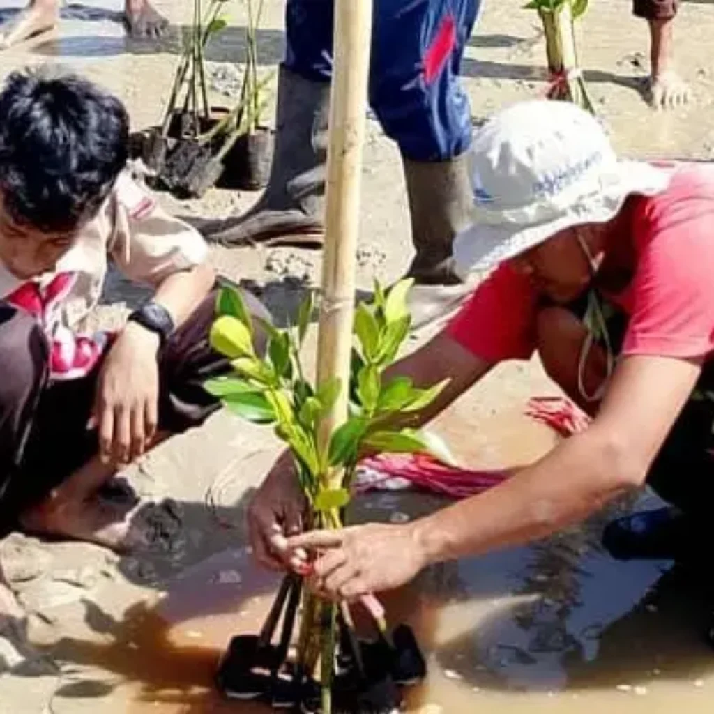 Penanaman 10.000 bibit mangrove oleh KOSA dan KOICA di Pelabuhan Cangkarman, Sumenep, bersama masyarakat lokal untuk menjaga ekosistem pesisir