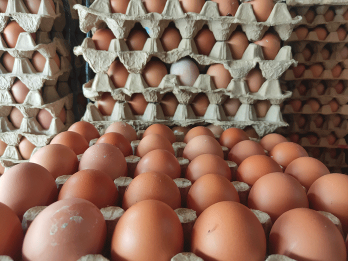 Harga Telur Ayam di Sumenep Tembus Rp30 Ribu Jelang Maulid Nabi