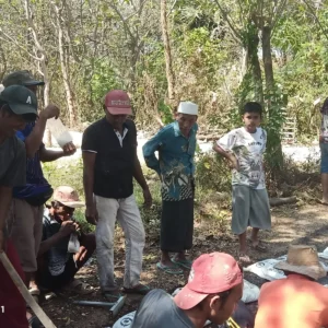 Warga Desa Galis Giligenting Gotong Royong Aspal Jalan Secara Swadaya