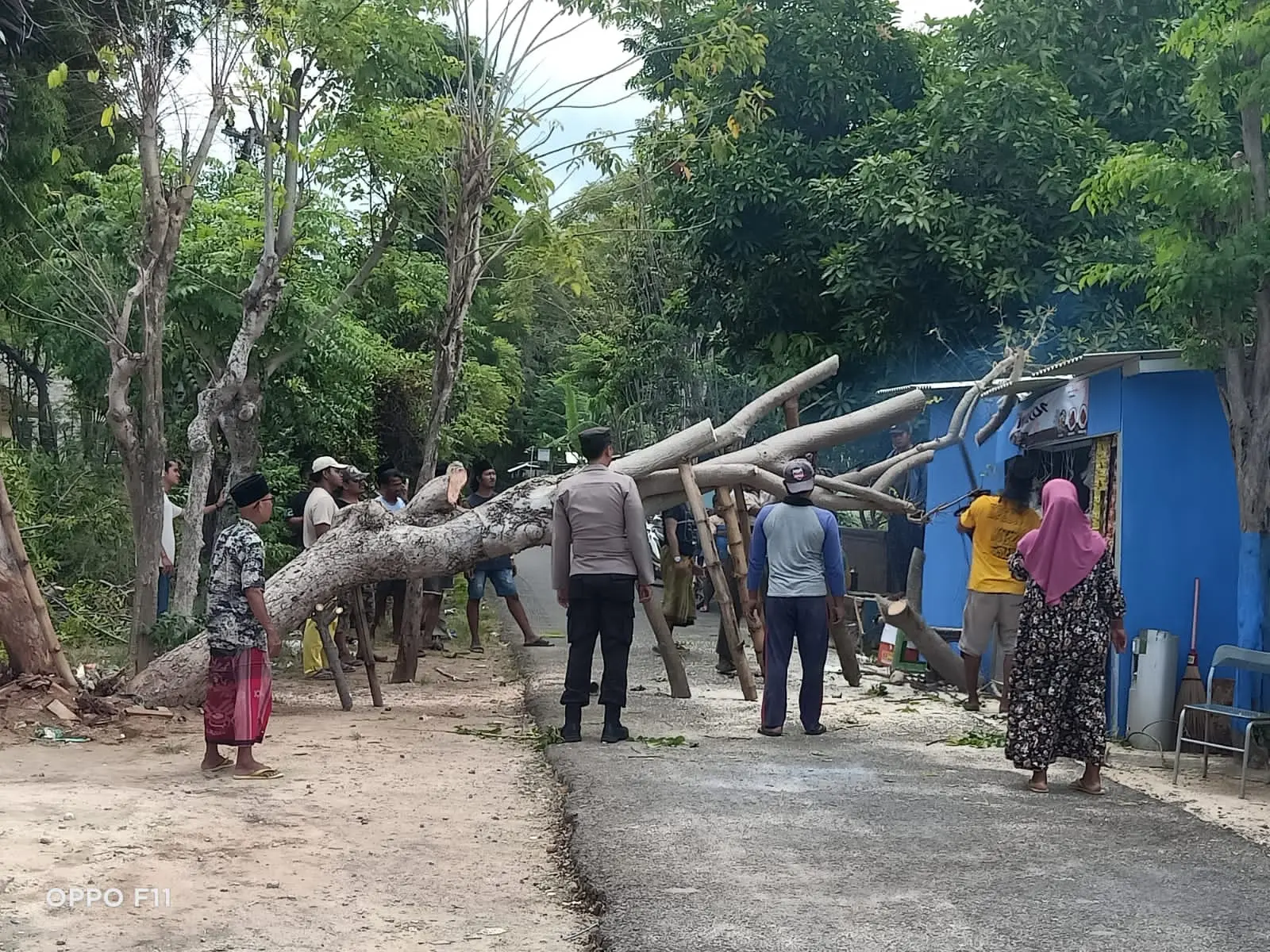 Proses evakuasi pohon tumbang menimpa warung UMKM di Desa Gelis, Kecamatan Giligenting, Kabupaten Sumenep, Jawa Timur