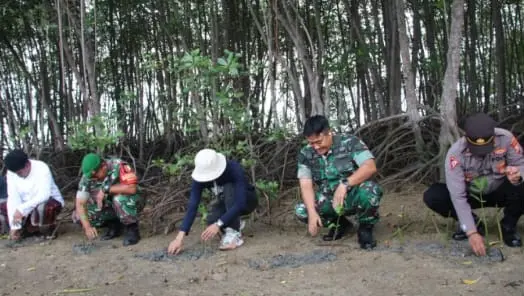 Dandim Sumenep dan GEN Tanam Ratusan Mangrove di Kalianget Barat untuk Cegah Abrasi