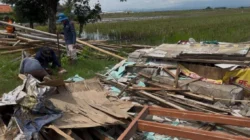Agus Kurniawan Budiman menanam pohon di jalan Playangan–Bojong Negara untuk cegah banjir dan bangunan liar di Cirebon