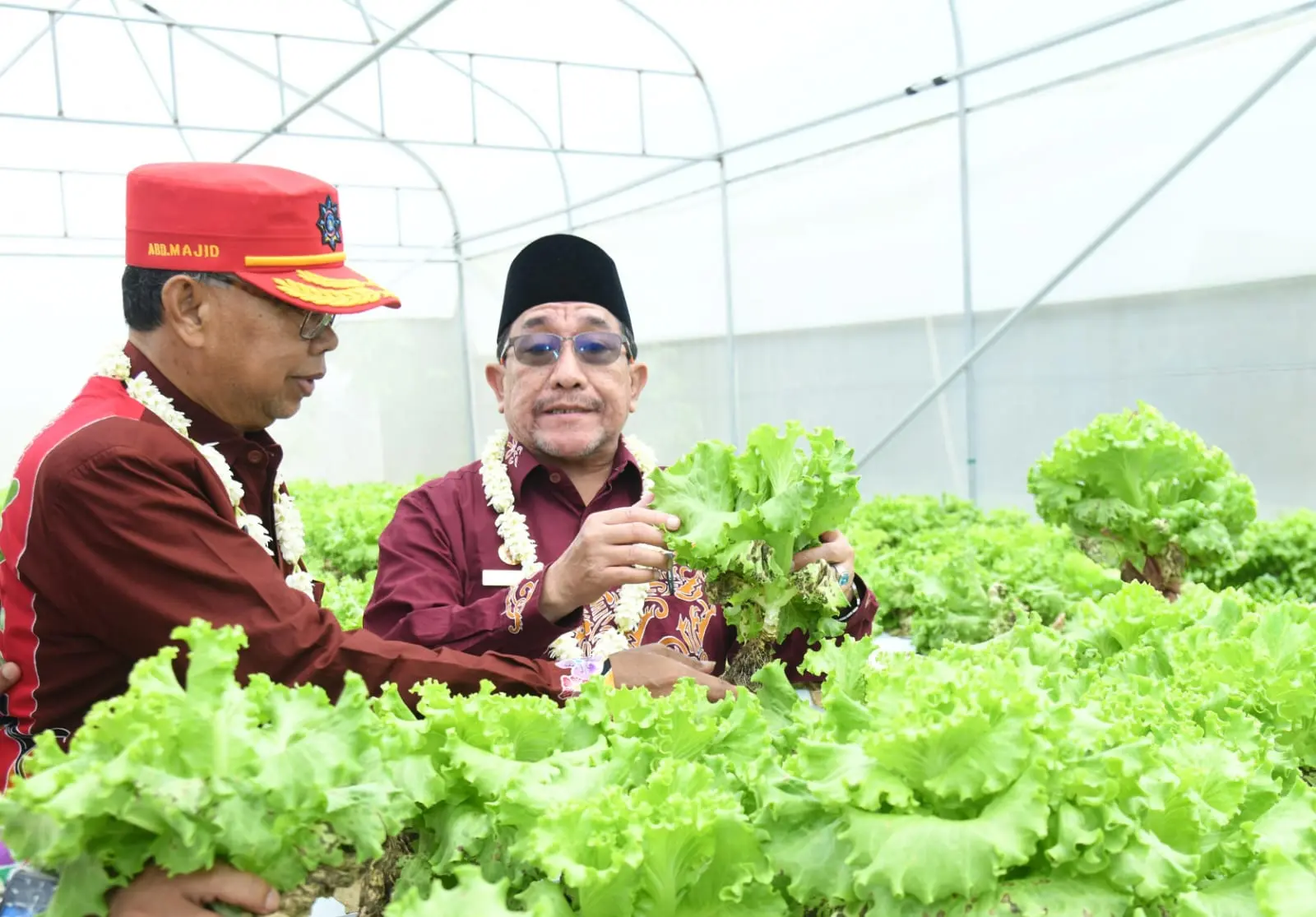 Peresmian kawasan smart farming hortikultura Desa Kasengan Sumenep