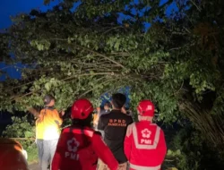 BPBD Pamekasan Kekurangan Personel, Asesmen Dampak Angin Kencang di 26 Desa Masih Berlangsung