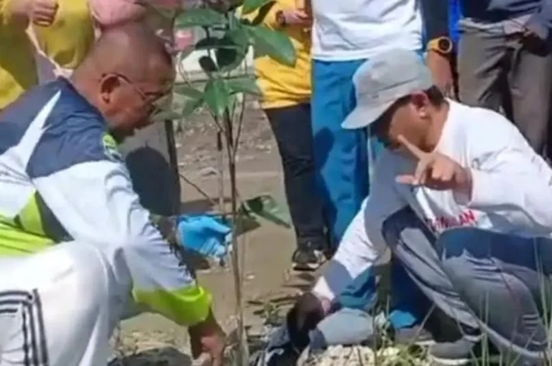 Pemkab Bangkalan Gencarkan Penghijauan, 75 Bibit Nangka dan Blimbing Ditanam di Area Perpustakaan