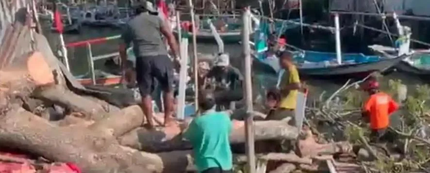 evakuasi pohon tumbang di Bangkalan menimpa perahu dan warung oleh BPBD
