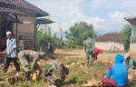 Babinsa Koramil Batuputih Gotong Royong Bangun Rumah Rutilahu Warga di Sumenep