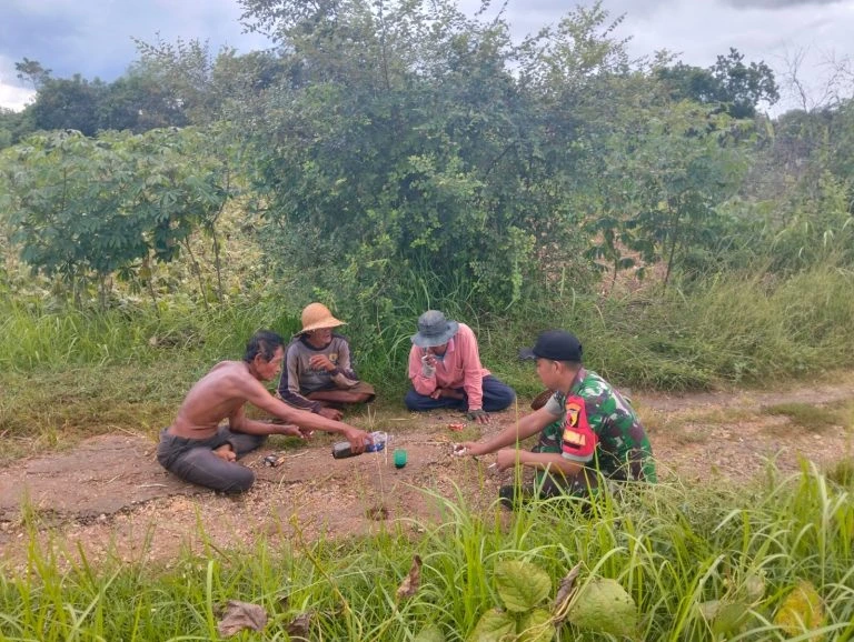Babinsa Saronggi Dampingi Petani Desa Juluk, Perkuat Ketahanan Pangan Sumenep