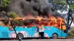Bus Coyo terbakar di jalur Pantura Kecamatan Pangenan Cirebon