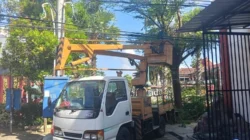DLH Sumenep pangkas ranting pohon di area Pemkab untuk cegah bahaya dan jaga keindahan lingkungan