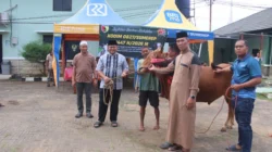 Dandim 0827 Sumenep menyerahkan sapi kurban Iduladha 1447 H kepada panitia penyembelihan di Makodim Sumenep