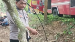 Petugas damkar memadamkan kebakaran dua rumah warga di Desa Kanjer Sampang akibat dugaan korsleting listrik