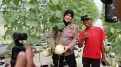 Kabag SDM Polres Sumenep saat panen melon smart farming di Desa Kasengan