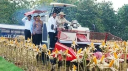 Presiden Prabowo Subianto menghadiri panen raya jagung di Tuban Jawa Timur