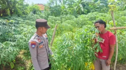 Bripda Deni mengajak warga Desa Torjek memanfaatkan lahan pekarangan melalui Program Pekarangan Pangan Bergizi
