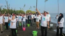 Gubernur Ahmad Luthfi Pimpin Penanaman 92.290 Mangrove di Pesisir Jateng, Perkuat Gerakan Mageri Segoro