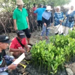 IPB, FK3I dan PPLHI Tanam 750 Mangrove di Pantai Giligenting Sumenep untuk Cegah Abrasi Pesisir